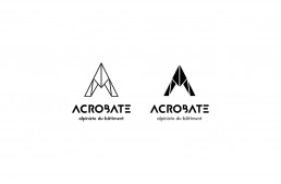 acrobate-travaux-sur-cordes-logo-lettrage-2side